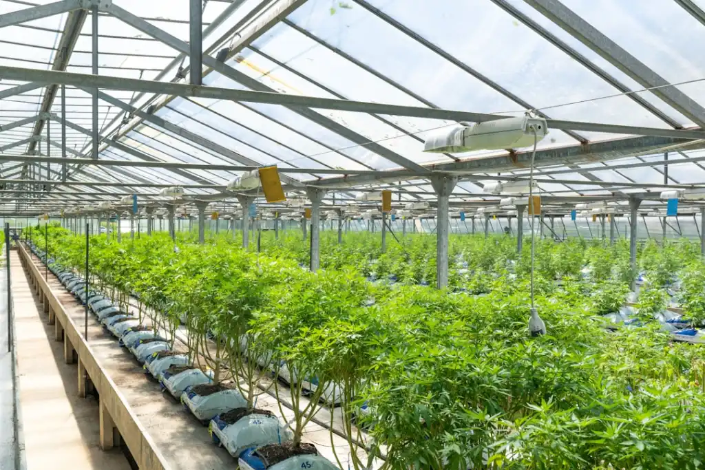 企业级软件开发中微服务架构的应用优势与实践要点